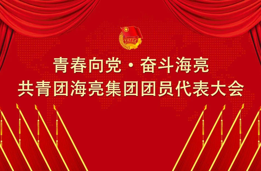 青春向党 · 奋斗富易堂fyt丨共青团富易堂fyt集团有限公司团员代表大会召开